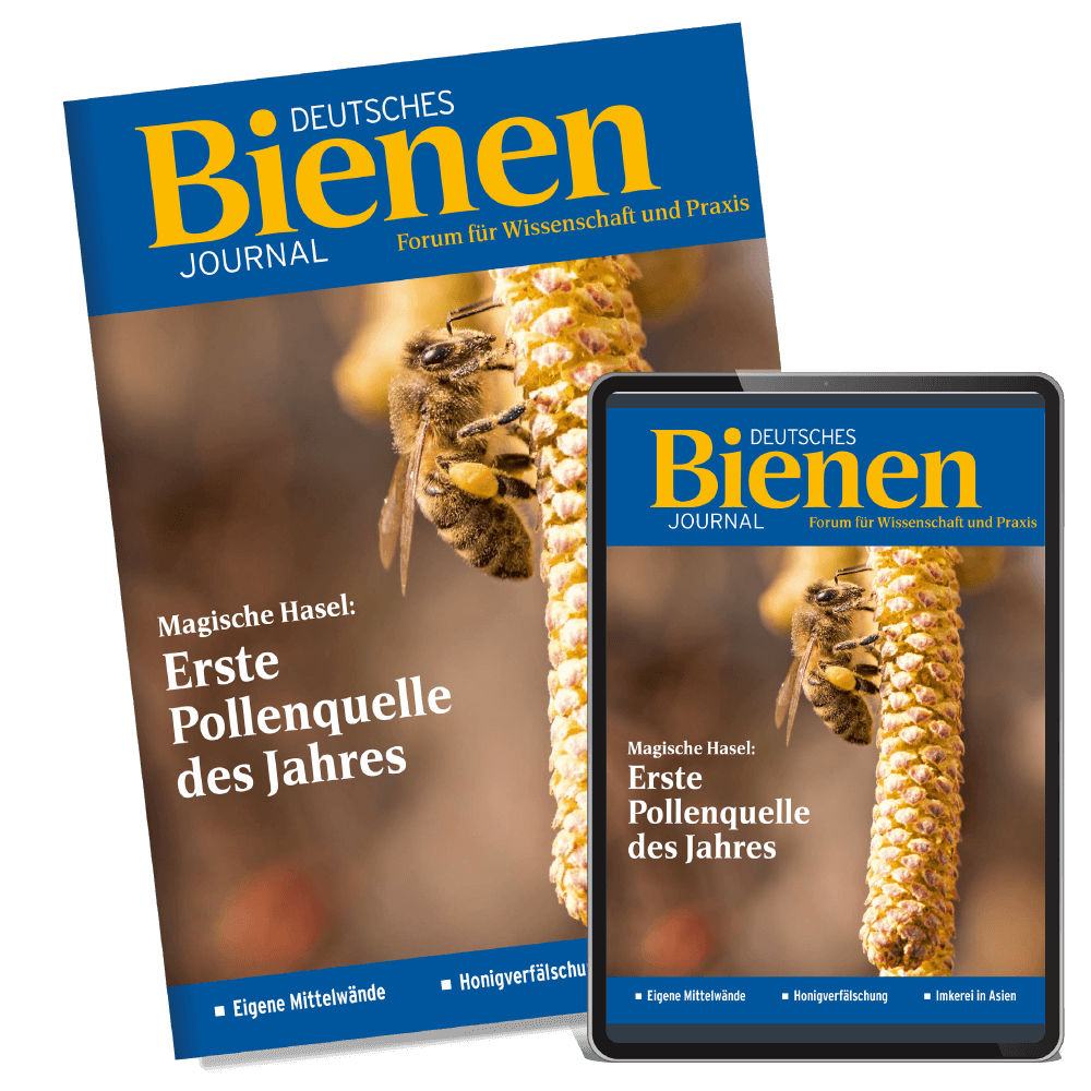 Bienen-Journal Kombiabo Bienen-Journal Kombiabo
