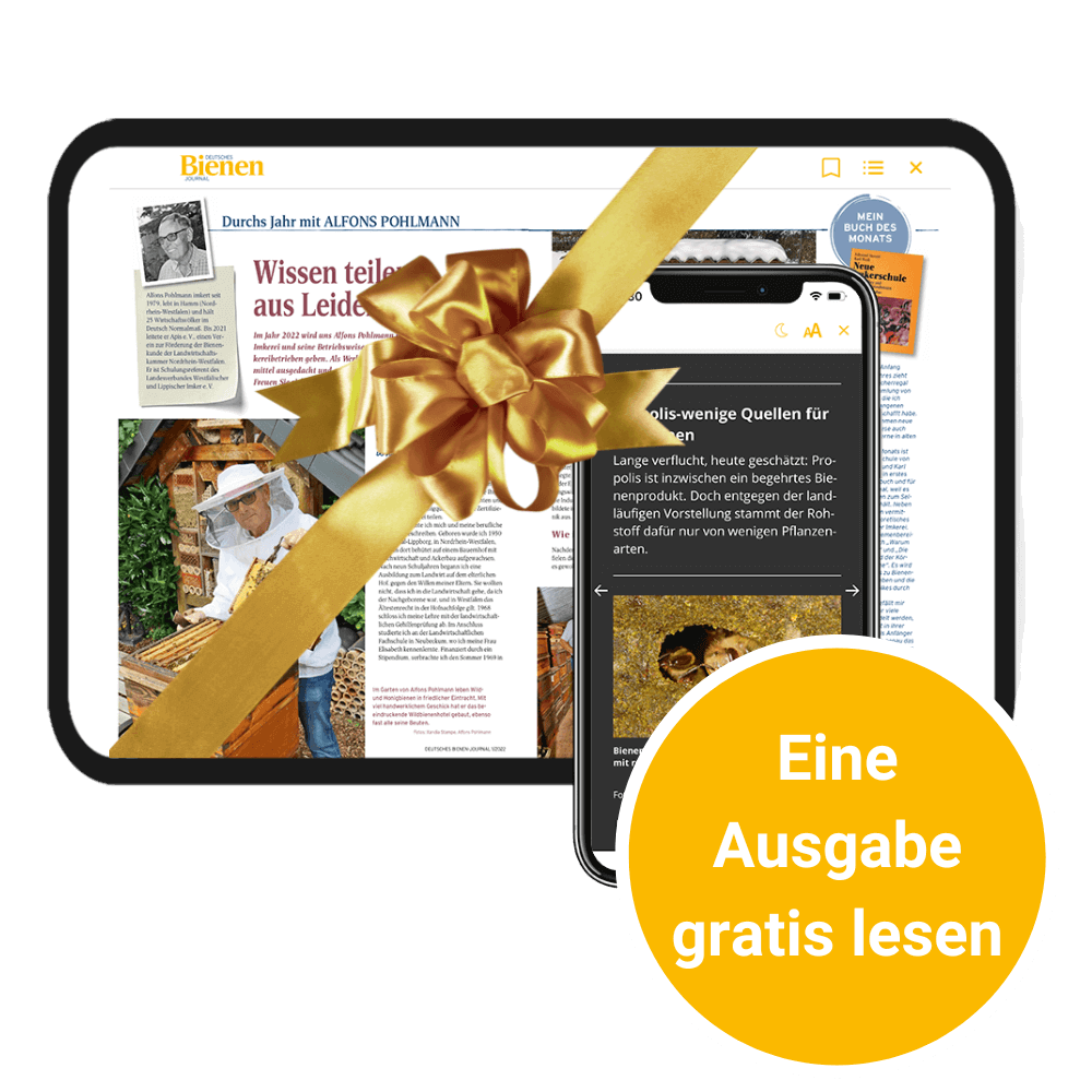 Bienen-Journal kostenlose Ausgabe E-Paper