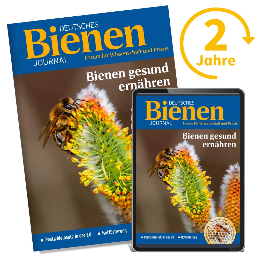 Bienen-Journal Kombiabo 2 Jahre