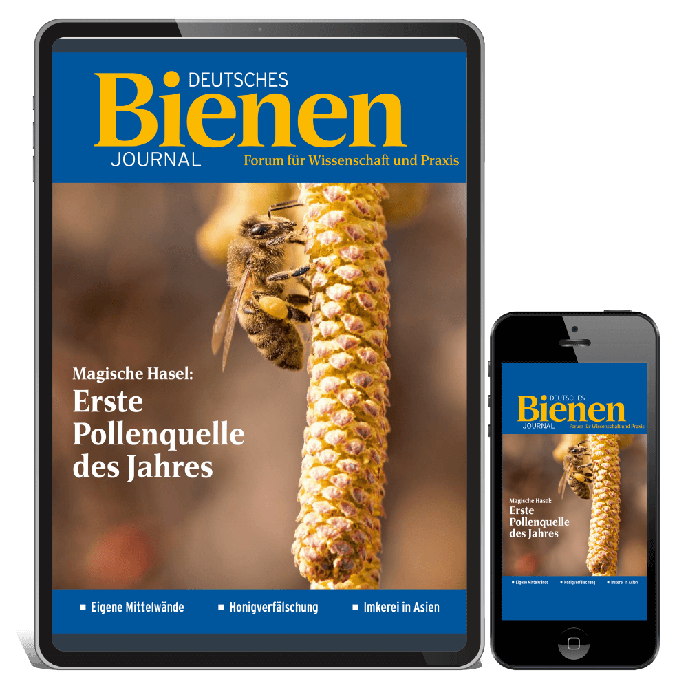 Bienen-Journal Digitalabo Bienen-Journal Digitalabo