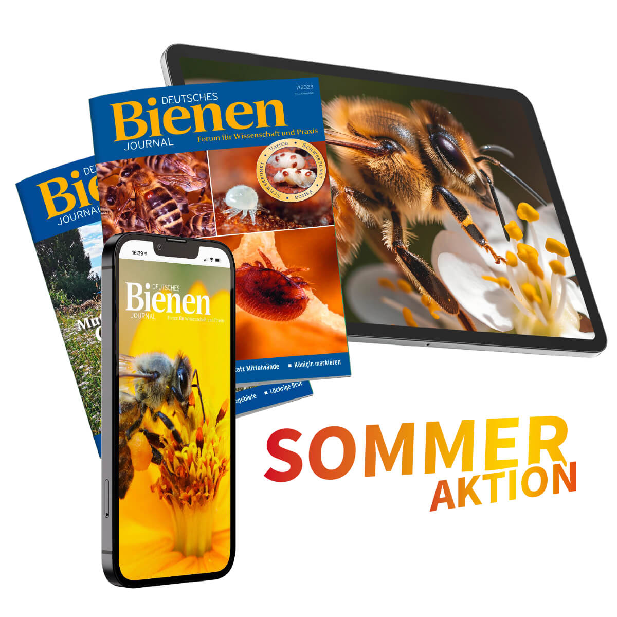 Bienen-Journal Sommer-Sparpreisabo