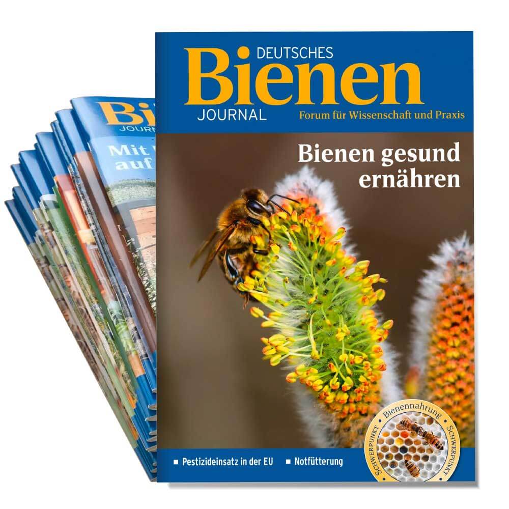 Bienen-Journal Jahresabo