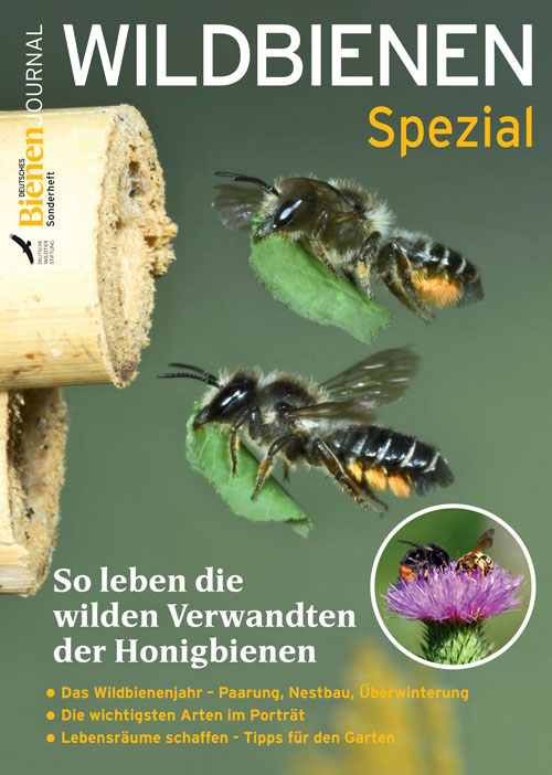 Wildbienen - Bienen-Journal Spezial