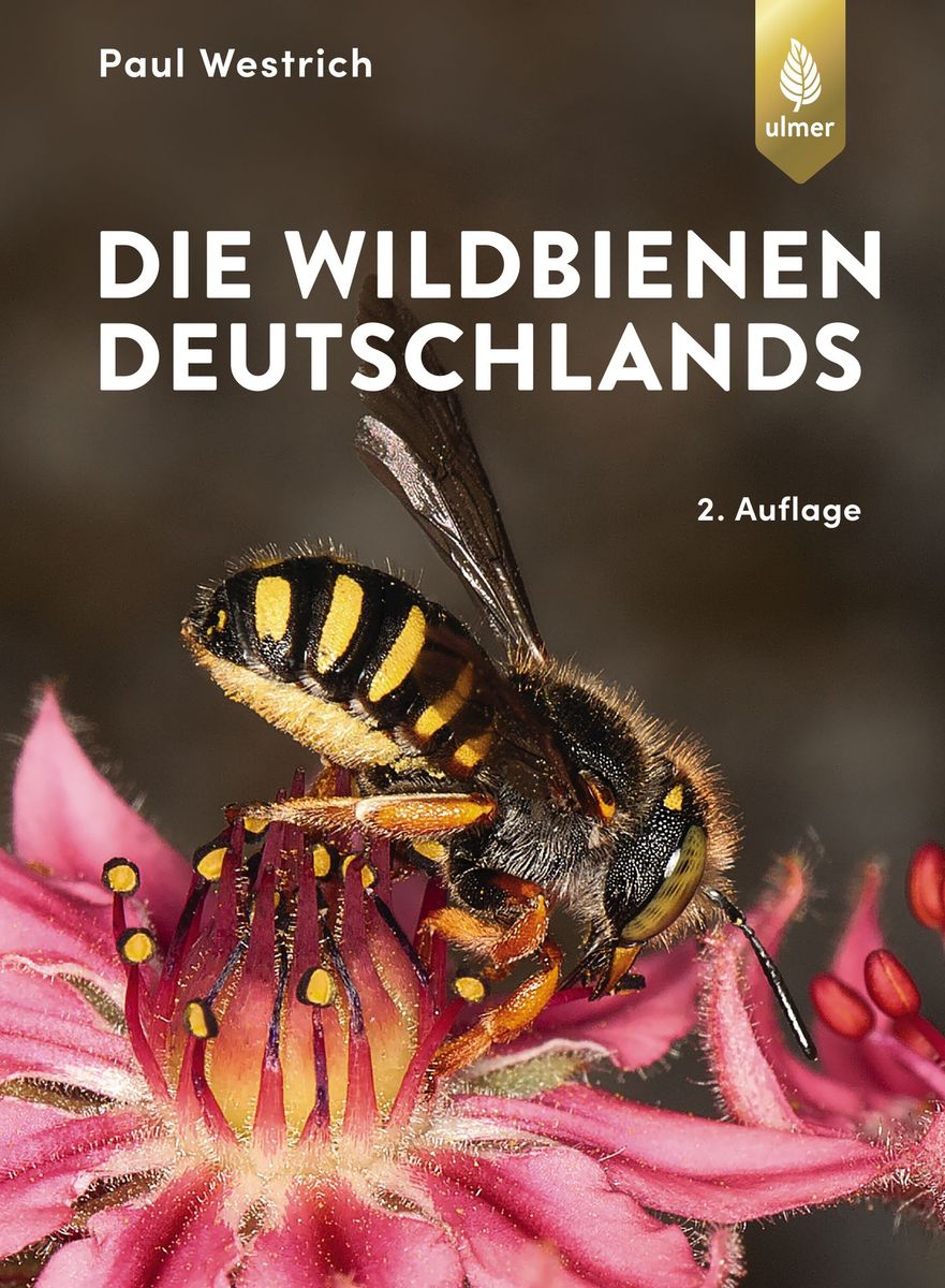 Die Wildbienen Deutschlands 2. Auflage